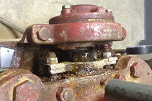 Rogers Pump