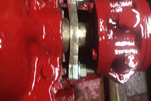 Rogers Pump