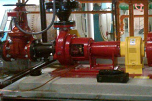 Rogers Pump