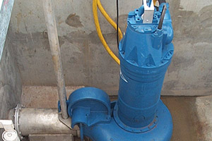 Rogers Pump