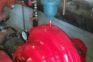 Rogers Pump