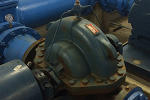 Rogers Pump