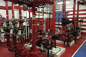 Rogers Pump